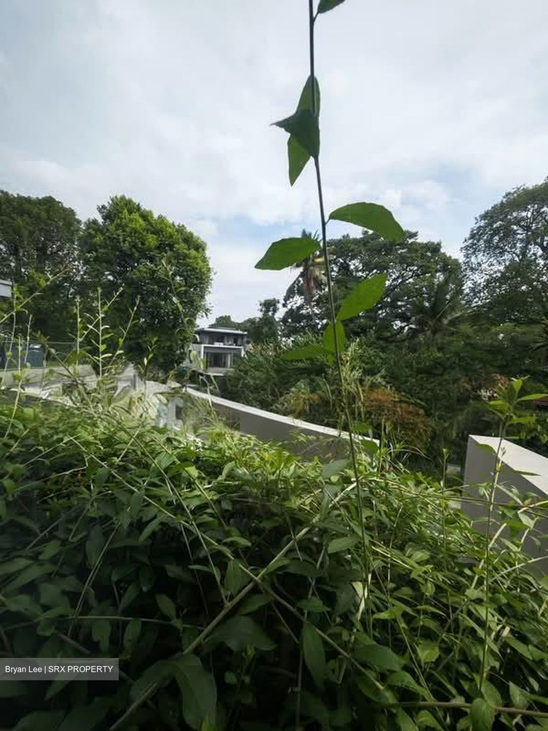 Kheam Hock Road (D11), Semi-Detached #582438141